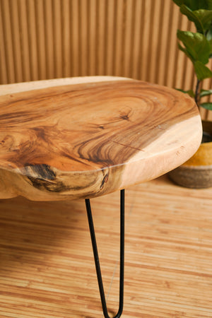 TIMBER KALA'S TRUNK TABLE FOR DECOR