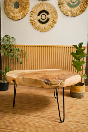 TIMBER KALA'S TRUNK TABLE FOR DECOR