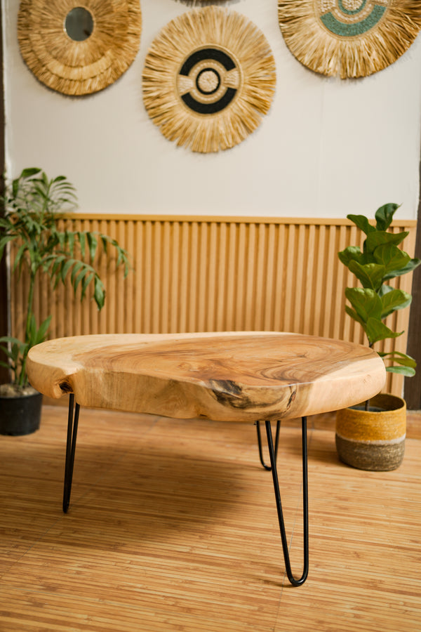 TIMBER KALA'S TRUNK TABLE FOR DECOR